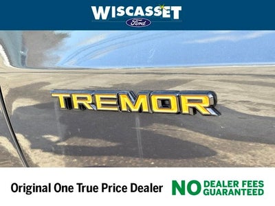 2025 Ford Expedition Tremor