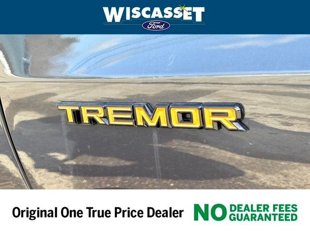 2025 Ford Expedition Tremor