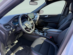 2026 Ford Escape ST-Line Elite