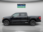 2023 Ford F-150 XLT Crew Cab