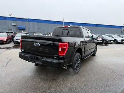 2023 Ford F-150 XLT Crew Cab