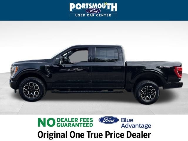 2023 Ford F-150 XLT Crew Cab