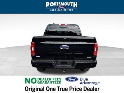2023 Ford F-150 XLT Crew Cab