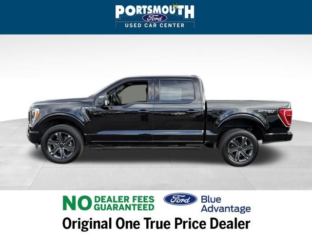 2023 Ford F-150 XLT Crew Cab