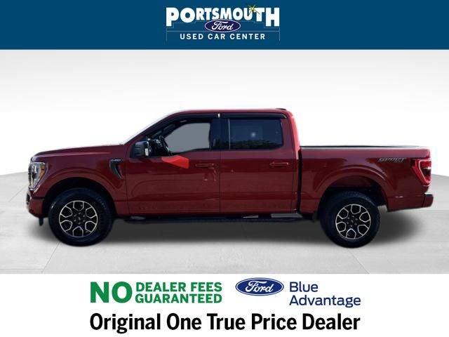 2023 Ford F-150 XLT Crew Cab