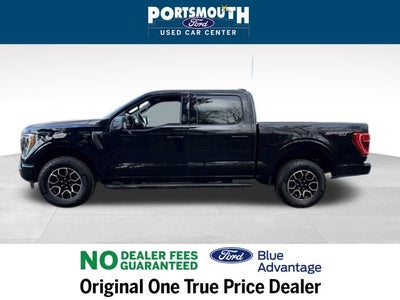 2023 Ford F-150 XLT Crew Cab