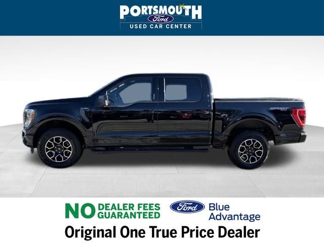 2023 Ford F-150 XLT Crew Cab