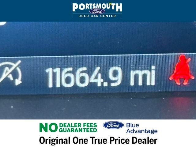 2024 Ford F-150 XLT Crew Cab