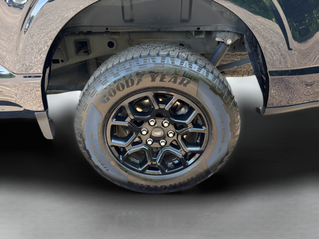 2025 Ford F-150 XLT Crew Cab