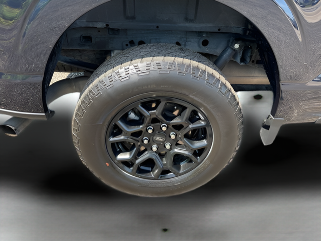 2025 Ford F-150 XLT Crew Cab