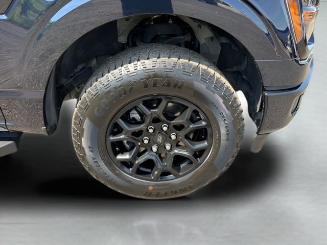 2025 Ford F-150 XLT Crew Cab