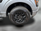 2024 Ford F-150 XLT Crew Cab