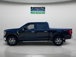 2023 Ford F-150 XLT Crew Cab