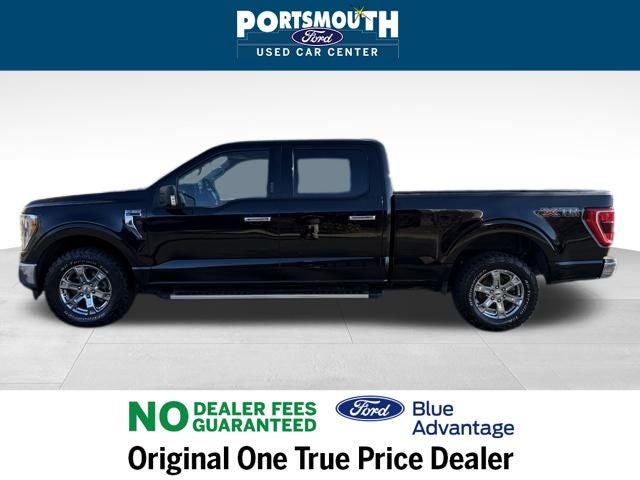 2023 Ford F-150 XLT Crew Cab