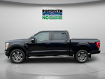 2021 Ford F-150 XL STX Crew Cab