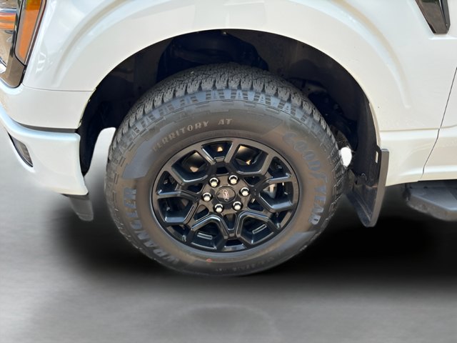 2024 Ford F-150 XLT Crew Cab