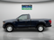 2025 Ford F-150 XL Regular Cab V8