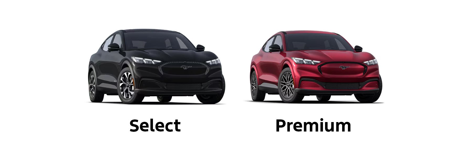 2025 Ford Mustang Mach-E Trim Levels